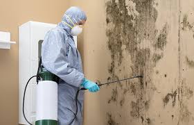 Best Dehumidification Services in Southlake, TX